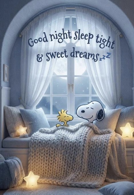A cozy bedroom scene featuring Snoopy and Woodstock tucked under a chunky knit blanket by a window with the text 'Good night Sleep tight & sweet dreams zzz'.