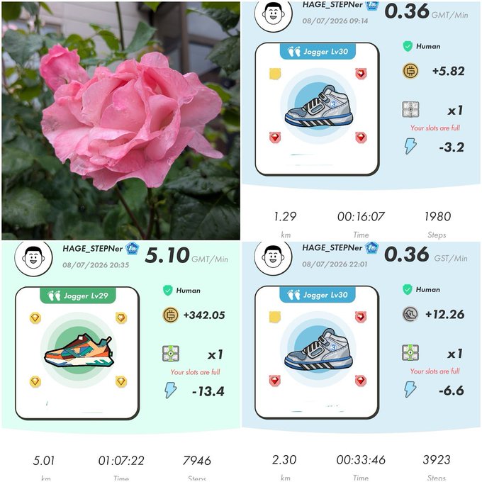 A collage showing a pink rose in bloom alongside three STEP'N app screenshots for HAGE_STEPNer, displaying different jogger sneakers and earnings in GMT/GST.