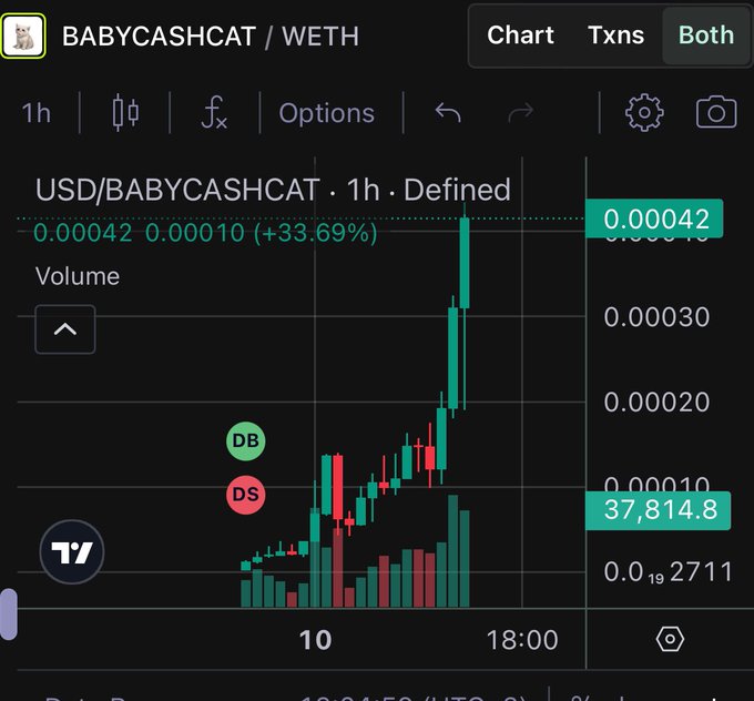A cryptocurrency trading chart for BABYCASHCAT/WETH showing a +33.69% gain to $0.00042 on a 1-hour defined time frame, with the final hour showing a sharp price spike.