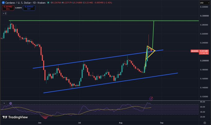 A TradingView daily candlestick chart of Cardano (ADA/USD) on Kraken shows the price at $0.231482, down 2.45%, with a rising wedge pattern (blue trendlines) and a recent bearish rejection near $0.29. The chart visually reinforces the post's bullish thesis, illustrating the key $0.29 breakout level and the consolidation structure suggesting a potential move toward higher prices.