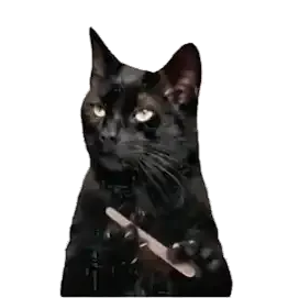 A black cat with bright eyes holding what appears to be a small stick or object in its paws against a white background.