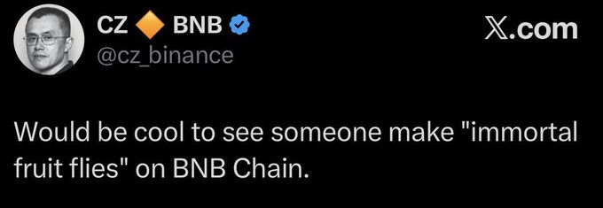 A screenshot of a tweet from CZ_Binance (@cz_binance) reading "Would be cool to see someone make 'immortal fruit flies' on BNB Chain," referencing a humorous suggestion to recreate the famous longevity research on the blockchain. The tweet features CZ's profile picture, the BNB ticker with a verified checkmark, and the X.com logo in the corner.
