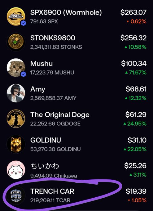 A list of cryptocurrency tokens with prices and percentage changes, including 'SPX6900 (Wormhole)' at $263.07, 'STONKS9800' at $256.32, and 'TRENCH CAR' circled in purple at $19.39.