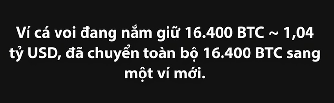 Vietnamese text on a black background reads: 'Ví cá voi đang nắm giữ 16.400 BTC ~ 1,04 tỷ USD, đã chuyển toàn bộ 16.400 BTC sang một ví mới.'