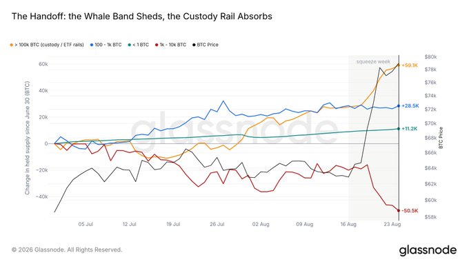 A Glassnode chart titled "The Handoff: the Whale Band Sheds, the Custody Rail Absorbs" tracks changes in net BTC supply across holder tiers from July to August, showing whales (1k-10k BTC) shedding 50.5K BTC while custody/ETF rails absorbed 59.3K BTC and the 100-1k BTC tier added 28.5K BTC during a late-August squeeze week. The visualization supports the post's thesis of BTC's price-determining power shifting from whales to Wall Street, as ETFs and custodians accumulated supply even as BTC price dropped from ~$66K to ~$60K.