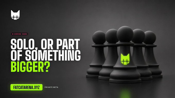 A dark, sleek promotional banner for "FATCATARENA.XYZ PRIVATE BETA" featuring a row of black chess-style game pieces, with the central pawn marked by a glowing green cat logo, alongside bold text reading "SOLO, OR PART OF SOMETHING BIGGER?" and a "COMING SOON" tag—visually reinforcing the post's announcement that guild-based team gameplay is now live in private beta.