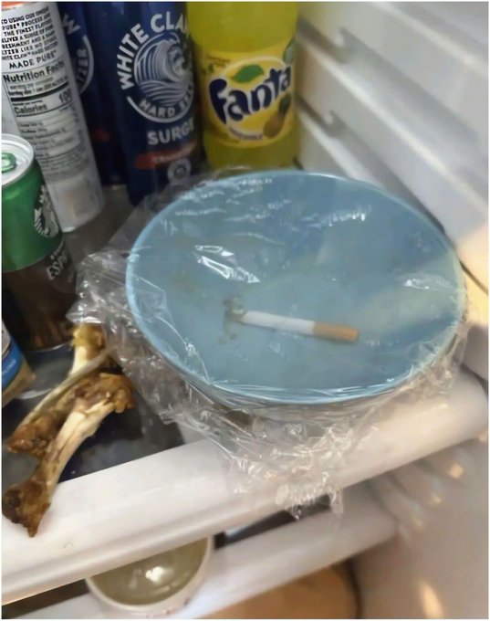 A blue ashtray sits on a refrigerator shelf alongside a cigarette butt, surrounded by beer cans (White Claw, Fanta) and a bone wrapped in plastic wrap.