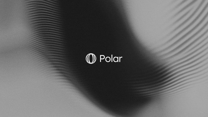 The image features the "Polar" logo against an abstract black and white background with flowing, wavy lines, representing the brand associated with the message about a stranger on the other side of the world paying $9 for something created by the viewer.