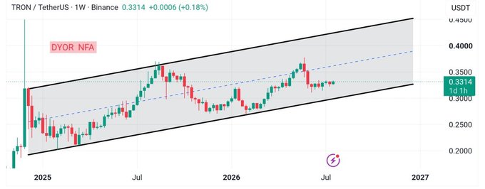 A weekly TRON/USDT (TRX) candlestick chart on Binance is shown, displaying price action inside a long-term ascending parallel channel between roughly $0.2000 and $0.4800, with the current price at $0.3314 (highlighted on the right axis) and the annotation "DYOR NFA" in the upper-left corner. The channel's structure visually supports the post's view that TRX is still respecting its long-term bullish framework, though the recent rejection from the upper boundary illustrates the cooling momentum mentioned in the commentary.