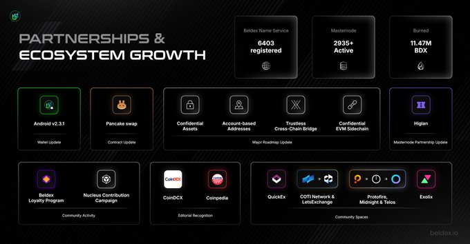 A slide titled 'PARTNERSHIPS & ECOSYSTEM GROWTH' from Beldex showing wallet services with 6403 names registered, 2935+ active master nodes, and 11.47M BDX burned, featuring updates for Android, Pancake swap, and various community programs.