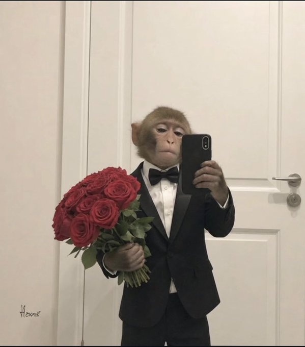 A monkey in a black tuxedo holds a large bouquet of red roses while taking a mirror selfie with a smartphone, signed "Herms" in the corner.