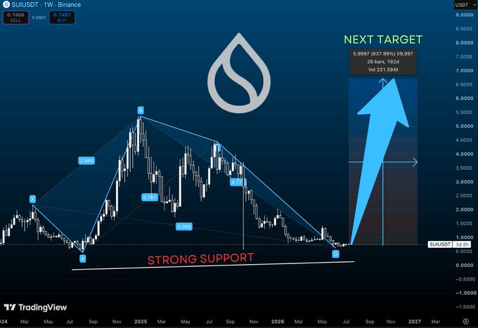 A TradingView chart for SUI/USDT showing price action with a 'STRONG SUPPORT' line and a large blue arrow pointing to a 'NEXT TARGET' of '5.9597'.