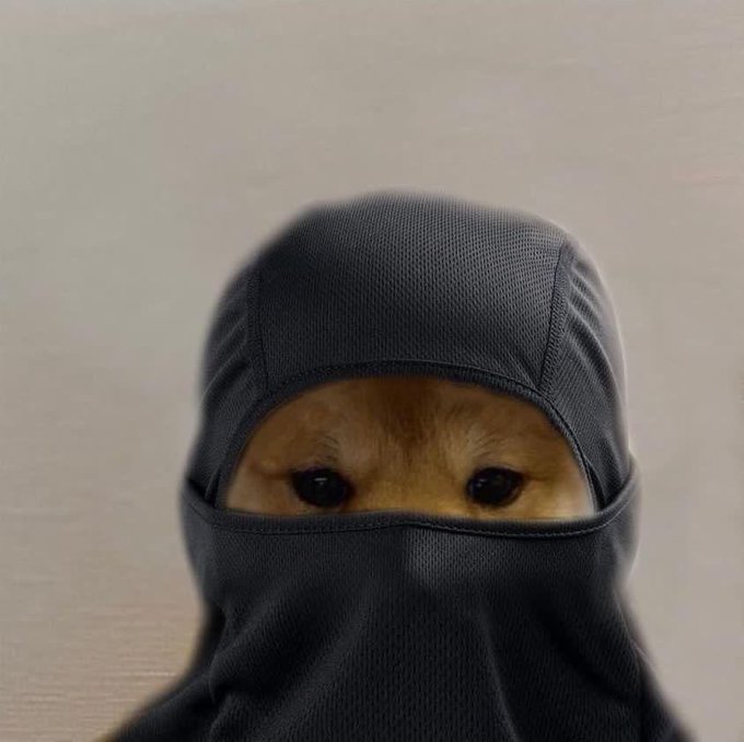 A close-up portrait of a woman wearing a dark grey niqab that covers all but her eyes, set against a plain, light-colored background.