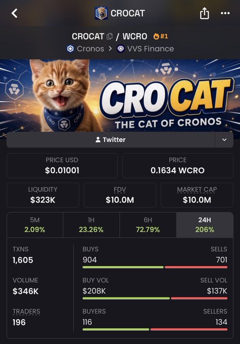 A cryptocurrency tracking app screen displays data for the token 'CROCAT' ($WCRO) on the Cronos chain, showing a price of $0.01001, a 24H increase of 206%, and a market cap of $10.0M.