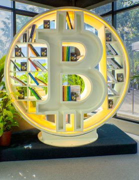 The image features a large white Bitcoin symbol made of books arranged on shelves. The Bitcoin symbol is surrounded by numerous books, creating an impressive display that showcases the significance of Bitcoin as a digital currency. The scene takes place indoors, with a potted plant in the background and a window providing natural light to the space.