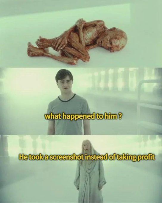 The image shows a cartoon scene with two people, one of them being a man wearing a grey shirt and another person dressed as a skeleton. The caption below the image reads "POV: you didn't take profits", which seems to be a reference to the popular TV show "Pov".
