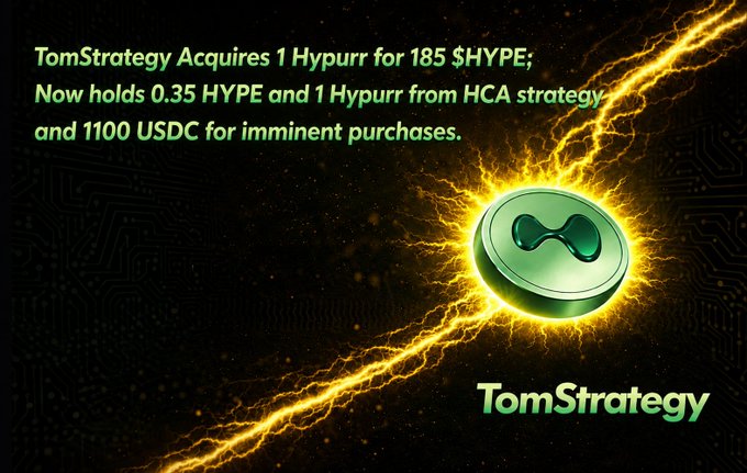 The image is a promotional graphic from "TomStrategy" announcing the acquisition of 1 Hypurr for 185 $HYPE, while holding 0.35 HYPE and 1100 USDC for imminent purchases, visually represented by a glowing green Hypurr token amidst golden lightning bolts against a dark background.