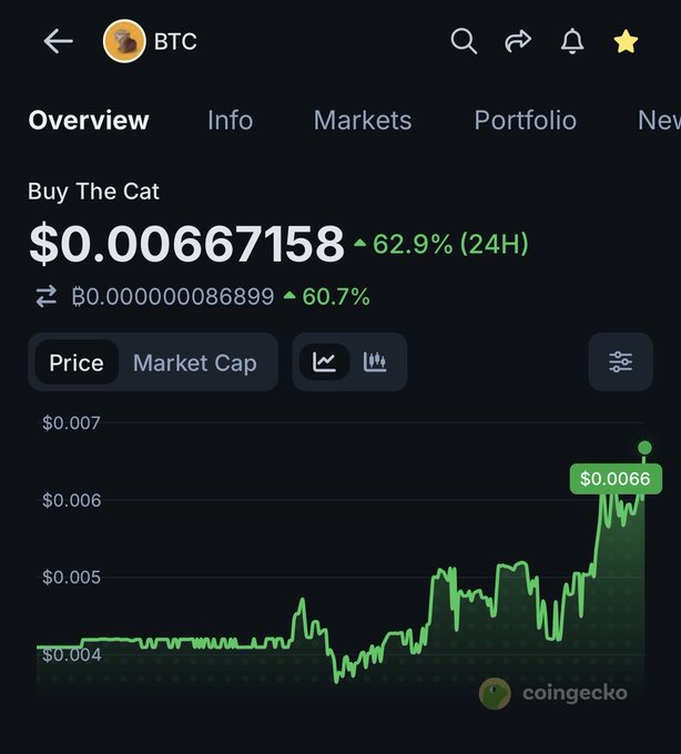 A CoinGecko cryptocurrency app screenshot showing the token 'BTC' (Buy The Cat) with a price of $0.00067158, up 62.9% in 24H, displayed with a green price chart trending upward.