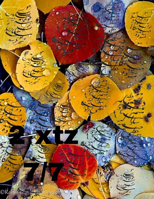 A close-up photograph of colorful autumn leaves with water droplets, overlaid with the text '2 xtz 7/7' and a watermark crediting Robin Black Photography.