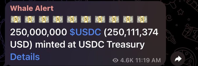 A Whale Alert notification showing 250,000,000 $USDC (250,111,374 USD) minted at USDC Treasury, aligning with the post announcing another $250M USDC issuance on Solana.