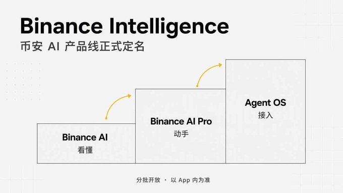 The image displays a stepped diagram titled "Binance Intelligence," officially naming Binance's AI product line as announced during a Binance livestream. It illustrates a progressive three-tier roadmap—starting with "Binance AI (看懂/understand)," advancing to "Binance AI Pro (动手/take action)," and culminating in "Agent OS (接入/integrate)"—aligning with the post's description of a pathway from understanding, to acting, to enabling third-party integration.