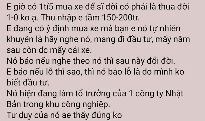 Vietnamese text discussing a partner's advice to invest rather than buy a car, mentioning an income of 150-200 million VND and their belief in the advice being correct.