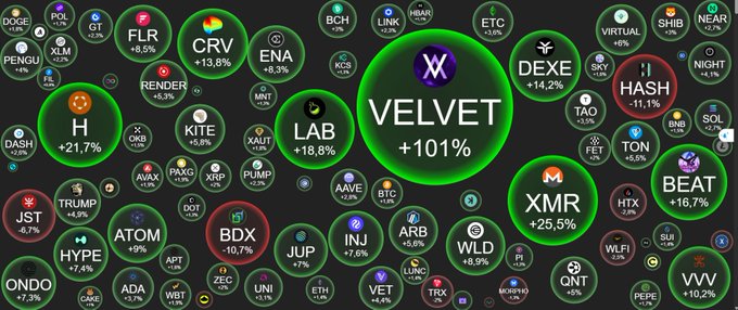 The image features a large rectangular table with circles surrounding words like "xelot", "velvet", and "collision" arranged at different positions across its length. Additionally, there are many small circles containing different texts spread throughout the table's width. These words are associated with Bitcoin coins and blockchain technology.