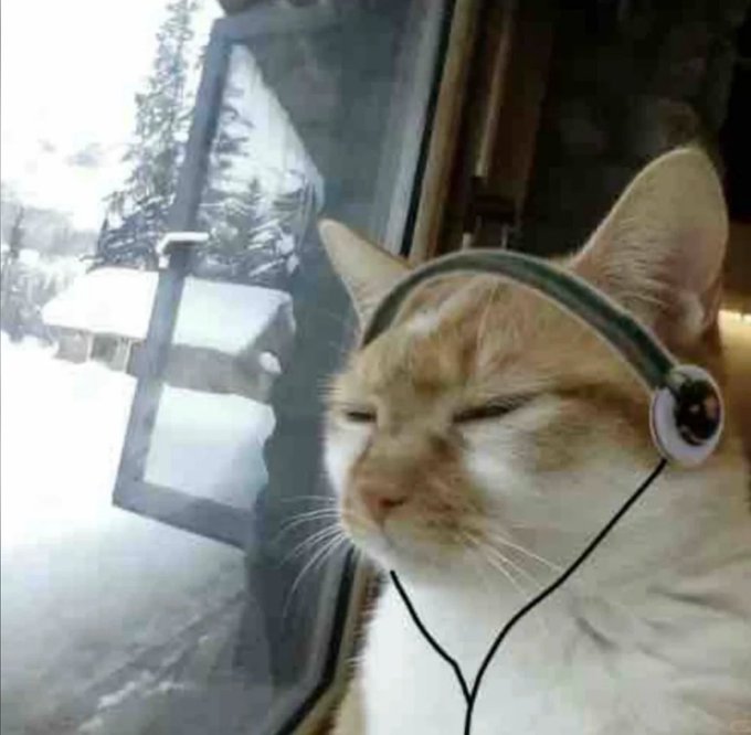 A close-up photo of an orange and white cat wearing headphones, with its eyes closed, sitting near a window that overlooks a snowy outdoor scene with evergreen trees.