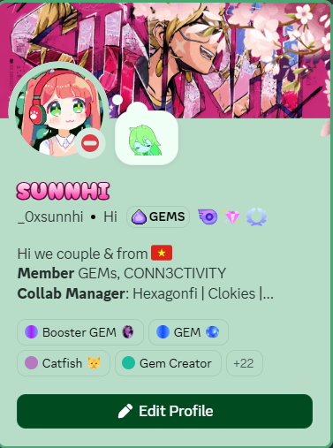 A Discord profile for 'SUNNHI' (_0xsunnhi) featuring anime-style avatars and tags including Booster GEM, GEM, Catfish, and Gem Creator.