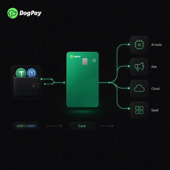 A dark promotional graphic for 'DogPay' showing a green card in the center connecting USDT/USDC digital currencies on the left to services on the right: 'AI tools', 'Ads', 'Cloud', and 'SaaS'.