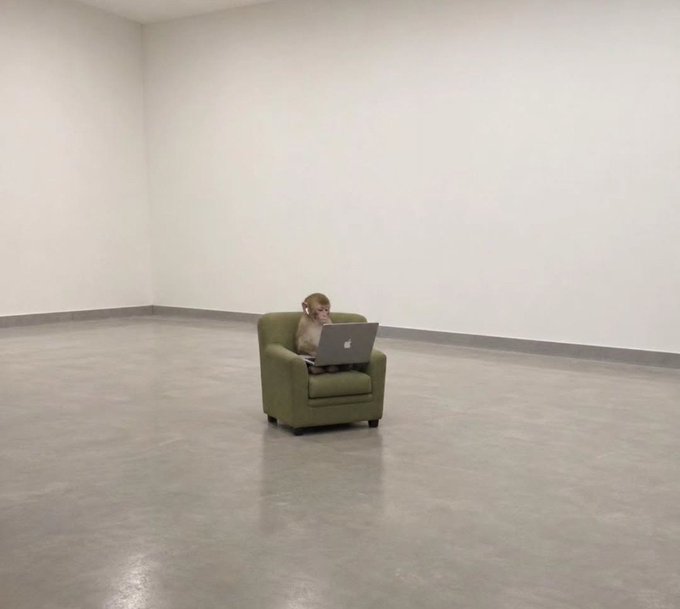 An art installation featuring a small monkey figurine sitting in a green armchair while using a silver Apple laptop, placed in the middle of an otherwise empty room with white walls and a concrete floor.