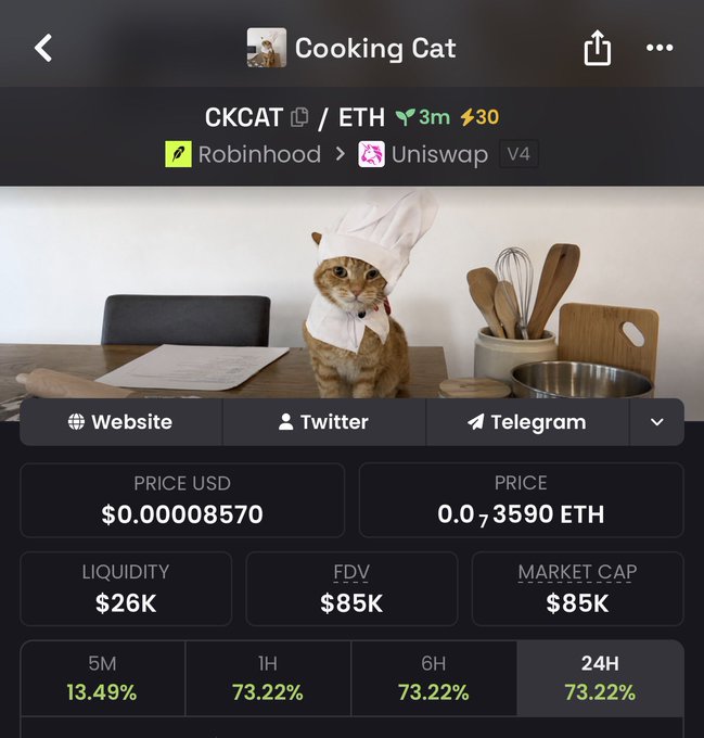 Screenshot of the DEXTools page for the "Cooking Cat" ($CKCAT/ETH) memecoin, displaying a cat in a chef's hat and listing a price of $0.00008570, $26K liquidity, and a $85K market cap with a 73.22% gain over 24 hours. The image aligns with the post's hype around the token, visually reinforcing the "cat cook" branding and buyback/burn narrative.