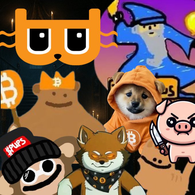 The image features a collage of cartoon characters wearing hoodies with various logos such as "Fizz" and "Bitcoin". The main focus of the image is a brown dog wearing an orange hoodie, standing next to a pink pig wearing a black hat. In addition to these two characters, there are other cartoon animals like a bear, a cat, and a monkey in the collage. The post suggests that the viewer should list "Fizz" and "Bitcoin", which are the main elements of this image.