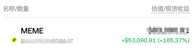 A cropped screenshot shows a crypto portfolio entry for 'MEME' with a green Lightning Network icon, displaying a blurred quantity and a value increase of +$53,090.91 (+165.37%).