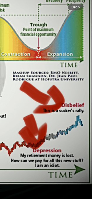 A financial infographic showing market cycle stages (Contraction, Trough, Expansion, Recovery) with the 'Trough' labeled as the 'Point of maximum financial opportunity,' followed by an emotional cycle chart with red arrows pointing to 'Disbelief' ('This is a sucker's rally') and 'Depression' ('My retirement money is lost. How can we pay for all this new stuff? I am an idiot.'), credited to BMO Nesbitt, Brian Shannon, and Dr. Jean Paul Rodrigue at Hofstra University.