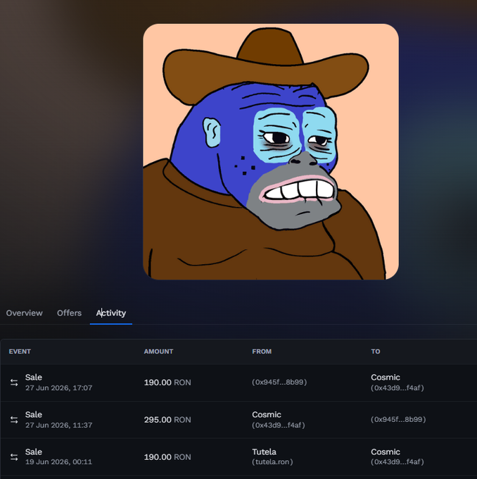 A "Cosmic" NFT character with a cowboy hat is displayed above an Activity log showing three sale transactions in RON, including a 295 RON purchase and a 190 RON sale back to "Cosmic" (0x43d9...f4af), illustrating a quick flip that resulted in a loss for the buyer and profit for the seller.