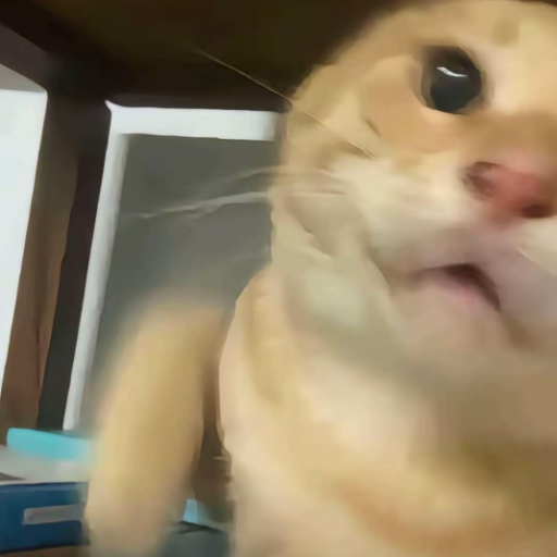 A blurry close-up of a light orange cat with its mouth slightly open, appearing to meow or react to something.