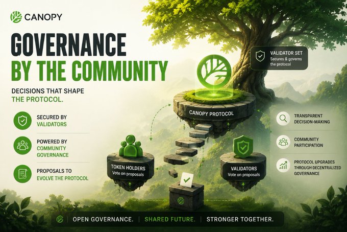 A Canopy Protocol infographic titled 'GOVERNANCE BY THE COMMUNITY' showing a tree with sections for Token Holders and Validators, highlighting secured by validators, community governance, and proposals to evolve the protocol.