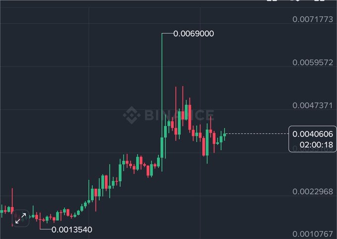 A cryptocurrency candlestick chart from Binance shows price movements ranging from a low of 0.0013540 to a high of 0.0069000, currently sitting at 0.0040606.