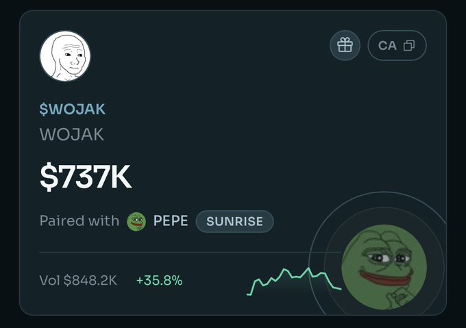 The image shows a cryptocurrency token profile card for "$WOJAK" (WOJAK), displaying a market cap of $737K and trading volume of $848.2K with a +35.8% change, paired with PEPE on the SUNRISE platform. This appears to contrast with the post's advice about studying the price action of "asteroid/spcx" and "allinu/dkng" (likely stock tickers), highlighting the difference between speculative meme coin trading versus traditional stock market analysis.