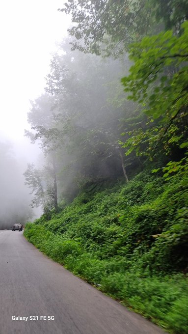 A misty, fog-covered mountain road lined with lush green trees and vegetation, captured by a Galaxy S21 FE 5G as noted by the watermark in the corner.