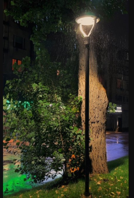 A street lamp illuminates a rainy night scene, casting a warm glow over wet pavement and lush greenery as raindrops streak through its light.

The image of the steady street lamp standing firm through the rain visually echoes the post's message of quiet, persistent progress—symbolizing how continued effort shines through even when the results feel invisible in the moment.