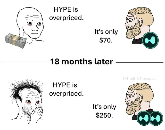 A 'Wojak' meme comparing the 'HYPE is overpriced' argument at two points in time, showing the price increasing from $70 to $250 over 18 months, credited to @TheBTCTherapist.