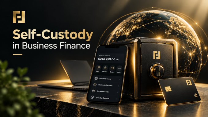 A promotional graphic reads 'Self-Custody in Business Finance' next to a smartphone displaying a $248,750.00 balance and a safe, with a globe in the background.