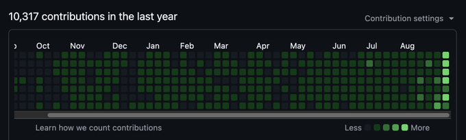 A GitHub contribution graph showing '10,317 contributions in the last year' with green squares indicating activity from October through August.