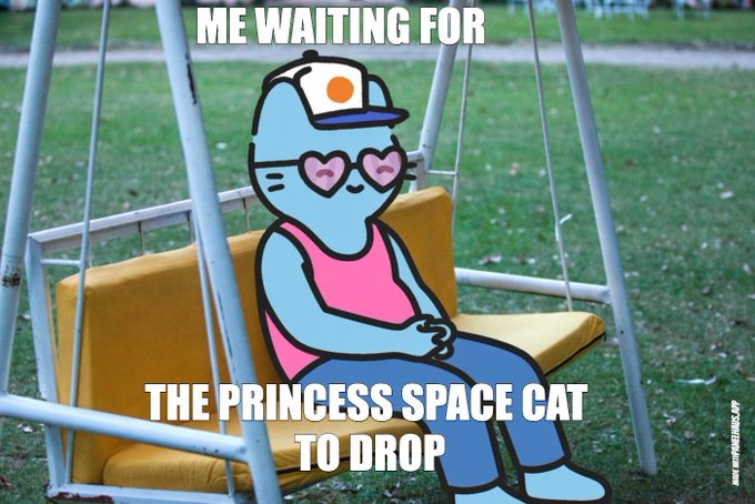 Meme featuring a cartoon character with heart eyes sitting on a porch swing, captioned 'ME WAITING FOR THE PRINCESS SPACE CAT TO DROP'.