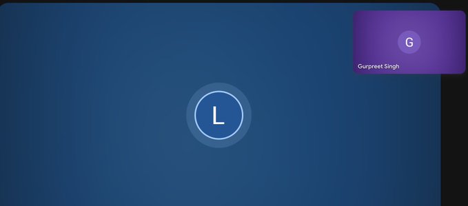 The image shows a video call interface with a large blue screen displaying the letter "L" in a circle, and a smaller purple profile bubble in the top right showing "Gurpreet Singh" with the letter "G." This appears to be a virtual meeting in progress between the user and Gurpreet Singh, likely representing the "amazing call" mentioned about discussing upcoming plans for @vibevibefun.