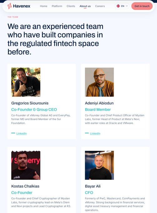 A screenshot of the Havene website's "The Team" page, displaying profiles for Gregorios Siourounis (Co-Founder & Group CEO), Adeniyi Abiodun (Board Member), Kostas Chalkias (Co-Founder), and Bayar Ali (CFO), with text describing them as an experienced team in the regulated fintech space.