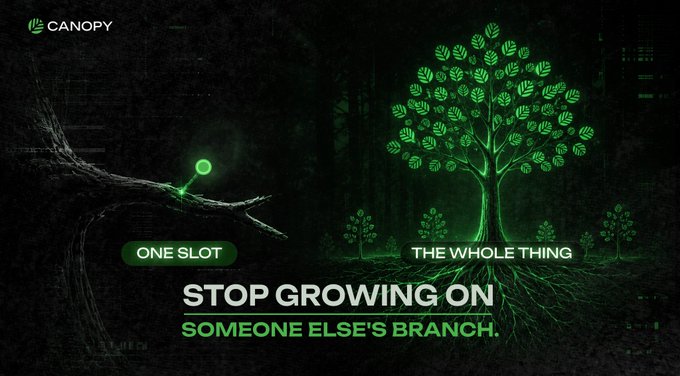 A Canopy advertisement features an illustration of a tree with green leaves and a small seedling on a branch, with the tagline 'STOP GROWING ON SOMEONE ELSE'S BRANCH' and options 'ONE SLOT' or 'THE WHOLE THING'.