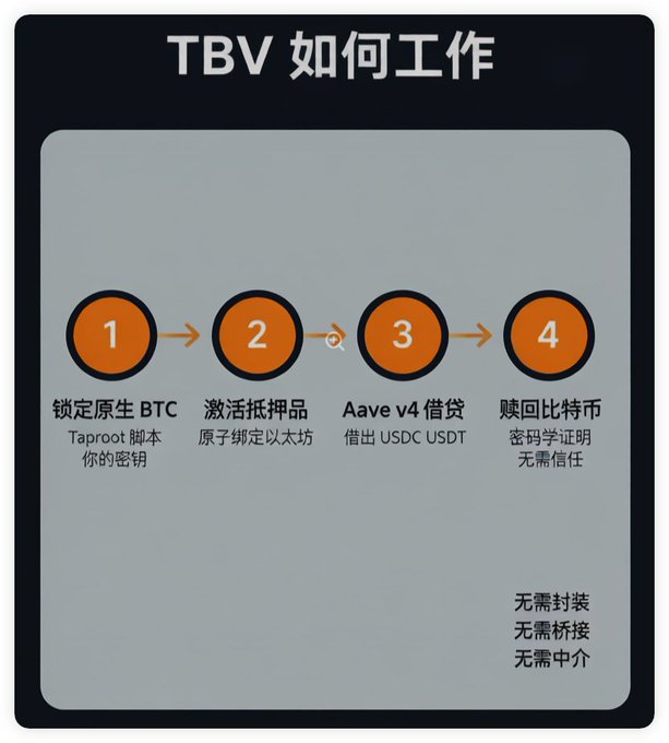 A Chinese-language infographic titled "TBV 如何工作" (How TBV Works) showing a 4-step process: 1) 锁定原生 BTC (Lock native BTC with Taproot script, your key), 2) 激活抵押品 (Activate collateral, atomically bind to Ethereum), 3) Aave v4 借贷 (Borrow out USDC USDT), and 4) 赎回比特币 (Redeem Bitcoin, cryptographic proof, no trust needed). Notes at bottom: 无需封装, 无需桥接, 无需中介 (No wrapping, no bridging, no intermediary needed).